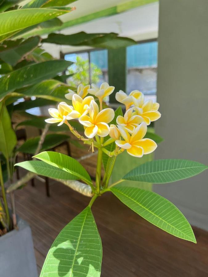 Vibe Hostels Colombo Eksteriør bilde